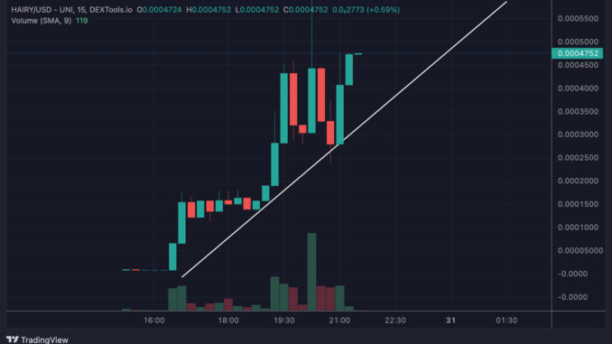After BALD Price Erupts, Base Devs Also Rumored to be After BALD Price Erupts, Base Devs Also Rumored to be Behind HAIRY Coin, Up 8,000% in 4 Hours