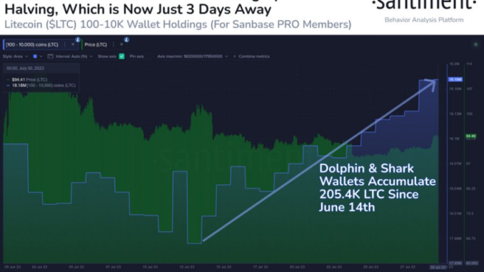 Litecoin Whales Buy Over 200,000 LTC Before the Halving Litecoin Whales Load Up as Halving Nears