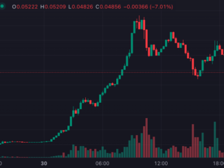 Obscure tokens skyrocket amid rug pulls and FOMO