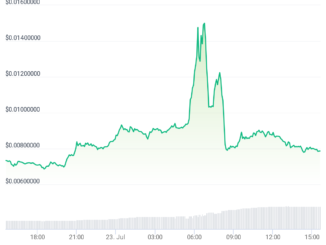 StormX (STMX) Unusual Price Movements Prompt Market Manipulation Fears