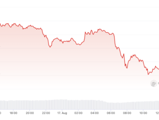 SHIB, BONE, LEASH tokens dip amid rumors of $2.5M Shibarium gaffe