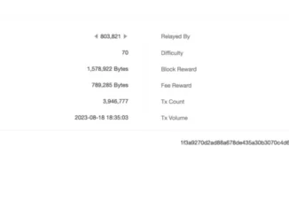 Solo Miner Solves Valid Bitcoin Block Amid Rising Network Hashrate – Earns 6.25 BTC