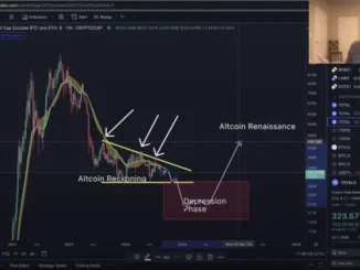 These Altcoins Will Not Survive Crypto Bear Market, Says Analyst