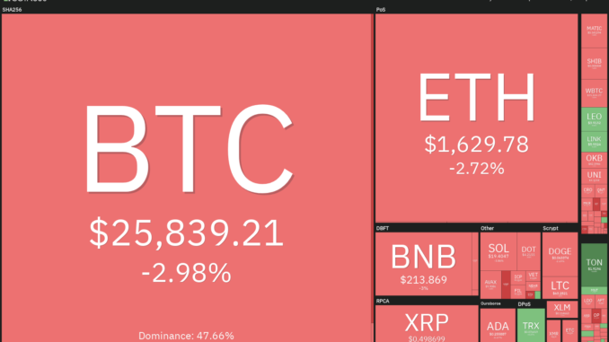 BTC, ETH, BNB, XRP, ADA, DOGE, SOL, TON, DOT, MATIC