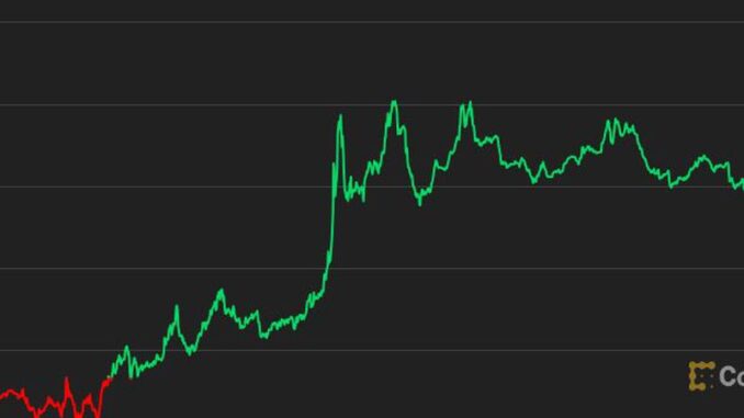 Bitcoin Shows Signs of Life Bitcoin Shows Signs of Life