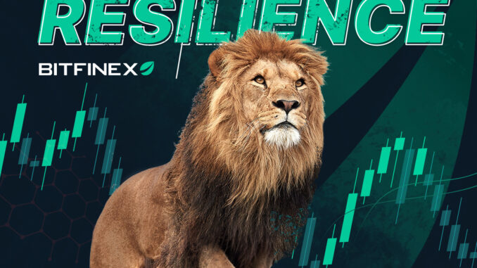 How it Adapted in Crypto History Exploring Bitfinex’s Journey: How it Adapted and Thrived in Crypto History