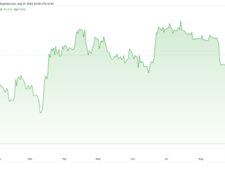 High-Stakes Gamble: HashKey Capital to Deploy Over $50 Million on Altcoins