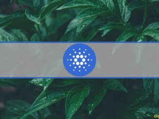 Massive Activity on Cardano-Based Minswap Pushes Key Metrics Near ATHs