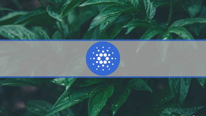 Massive Activity on Cardano-Based Minswap Pushes Key Metrics Near ATHs Massive Activity on Cardano-Based Minswap Pushes Key Metrics Near ATHs