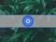 Massive Activity on Cardano-Based Minswap Pushes Key Metrics Near ATHs