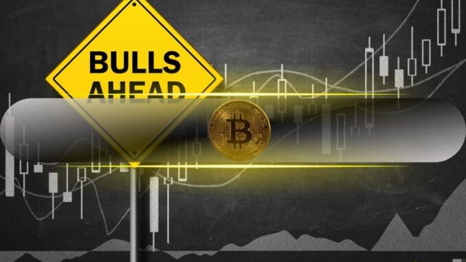 3 Bullish Bitcoin Things to Be Excited About in 2024 3 Bullish Bitcoin Things to Be Excited About in 2024