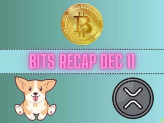 Ripple (XRP) Price Predictions, Bitcoin (BTC) Volatility, Bonk Inu (BONK) Rollercoaster: Bits Recap Dec 11