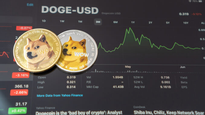 Will other meme coins follow suit? Will other meme coins follow suit?