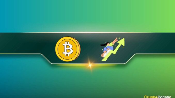 Here's How Many Short Traders Were Liquidated as Bitcoin (BTC) Here's How Many Short Traders Were Liquidated as Bitcoin (BTC) Soared Past $45K
