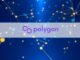 Polygon Labs' Legal Team Pushes For OCCIP's Oversight