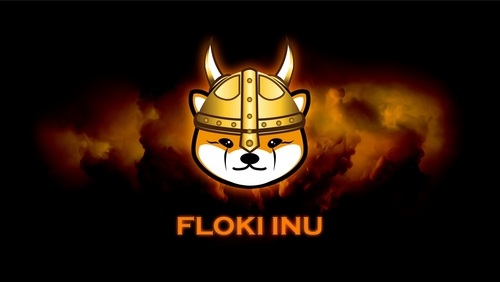 After the Bonk and Floki rally, is Memeinator the next After the Bonk and Floki rally, is Memeinator the next big thing?