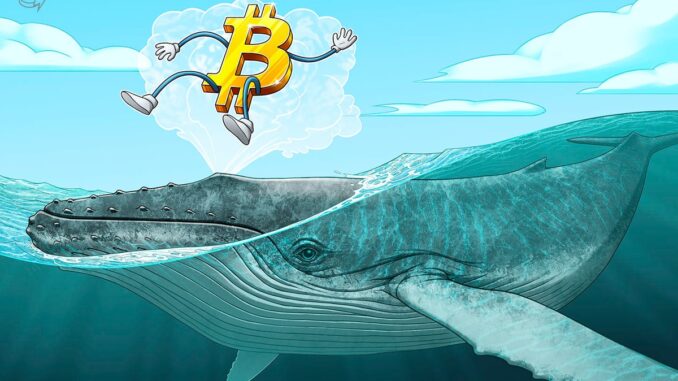 Bitcoin whale 'FOMO' hits as BTC price coils below $67K liquidity zone