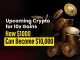 Upcoming Crypto for 10x
