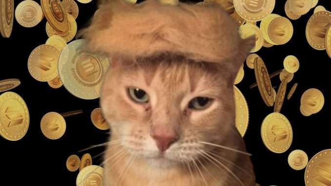“Meowing America Great Again” - This new cat-meets-Trump PolitiFi memecoin “Meowing America Great Again” - This new cat-meets-Trump PolitiFi memecoin launches today