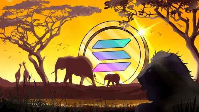 Solana has impacted Africa’s crypto market maturity — Exchange exec