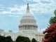 U.S. Capitol Building (Connor Gan/Unsplash)