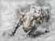 Ether may be in for a bull run. (ArtTower/Pixabay)
