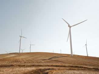 Wind farm in Cádiz, Spain (Luca Bravo/Unsplash)