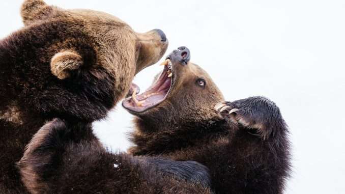 BTC Bears Target 200-day Average as Macro Concerns Overshadow Trump's Bitcoin slips to 200-day average. (Zdeněk Macháček/Unsplash)