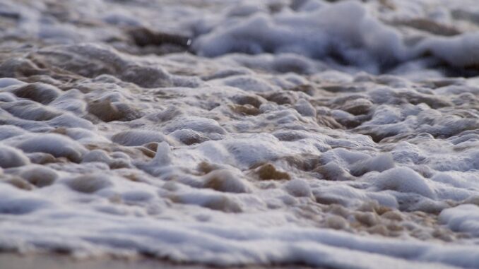 Ripple, Dogecoin Bets Surge in Sign of Speculative Froth Shaurya Malwa